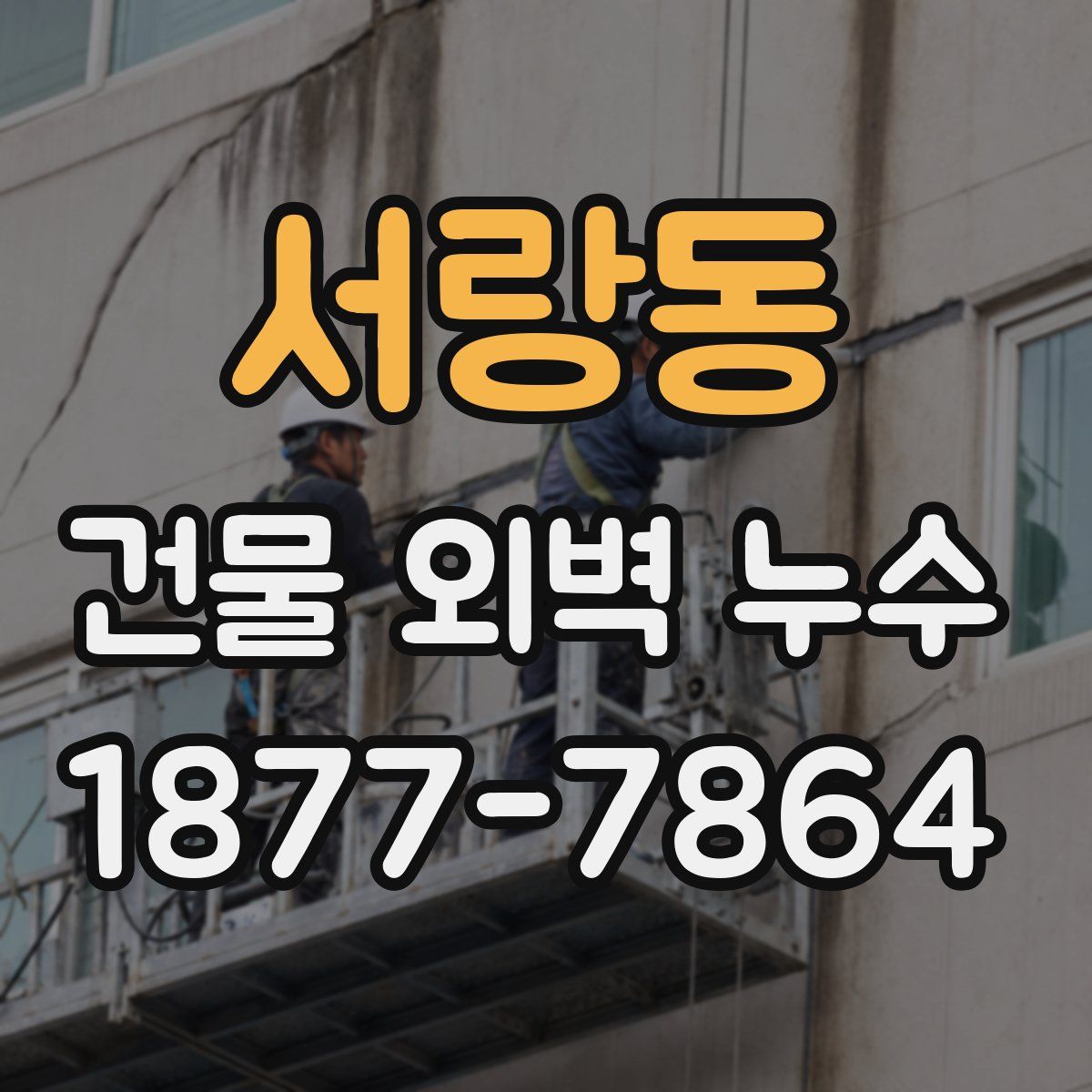 서랑동 건물 외벽 누수