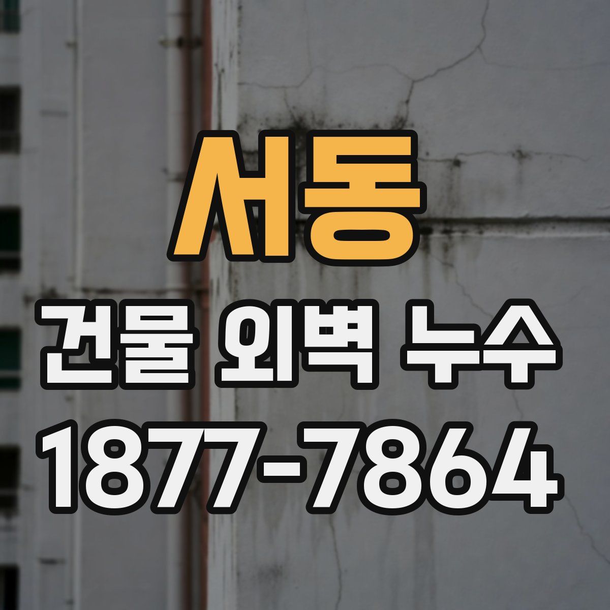 서동 건물 외벽 누수