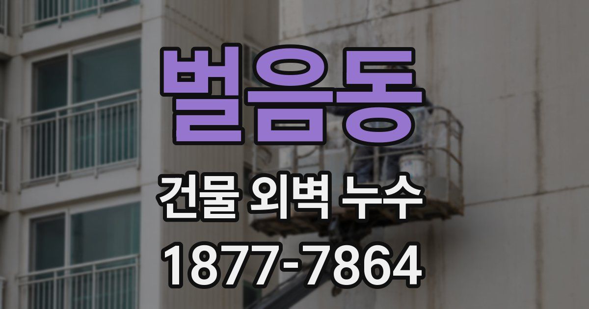 벌음동 건물 외벽 누수