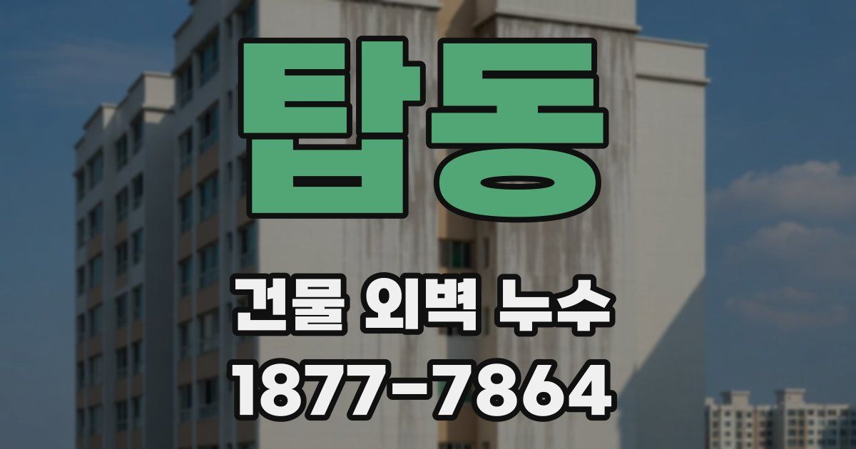 탑동 건물 외벽 누수