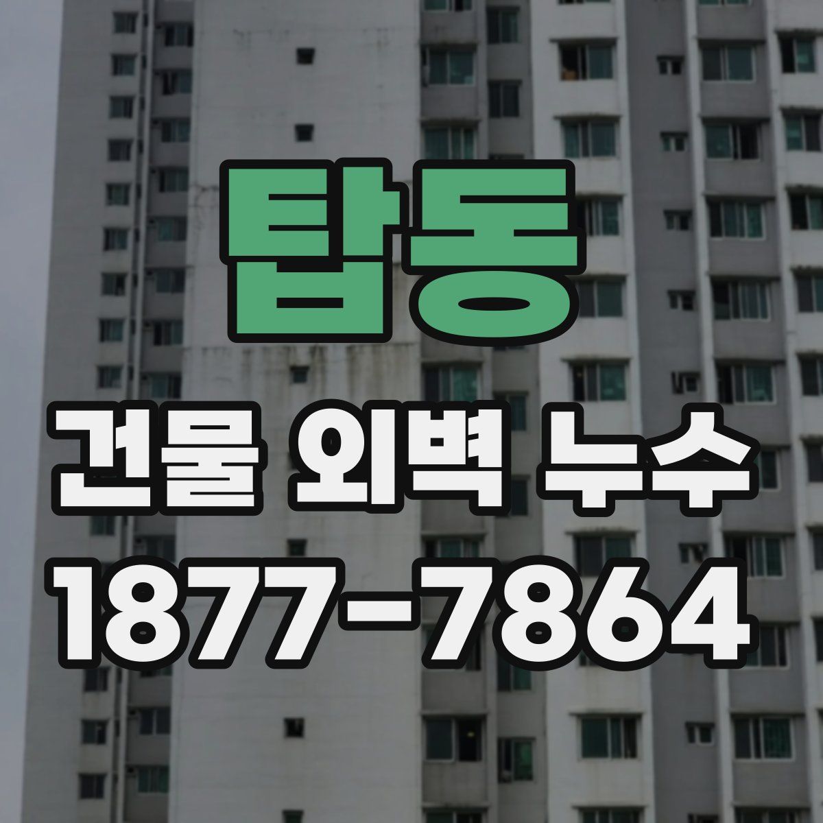 탑동 건물 외벽 누수