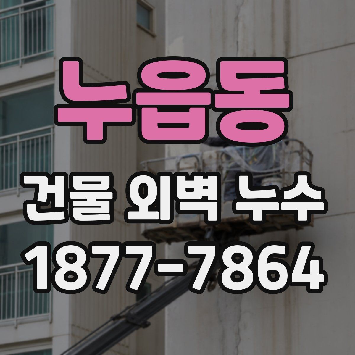 누읍동 건물 외벽 누수 공사 전 현장 확인 항목