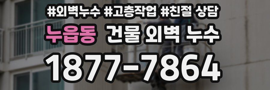누읍동 건물 외벽 누수