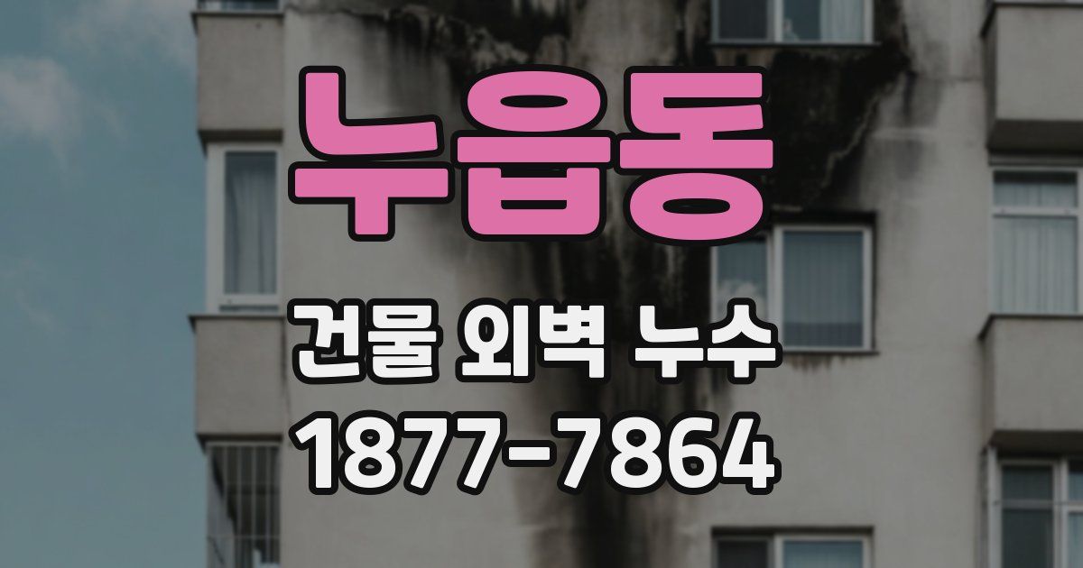 누읍동 건물 외벽 누수