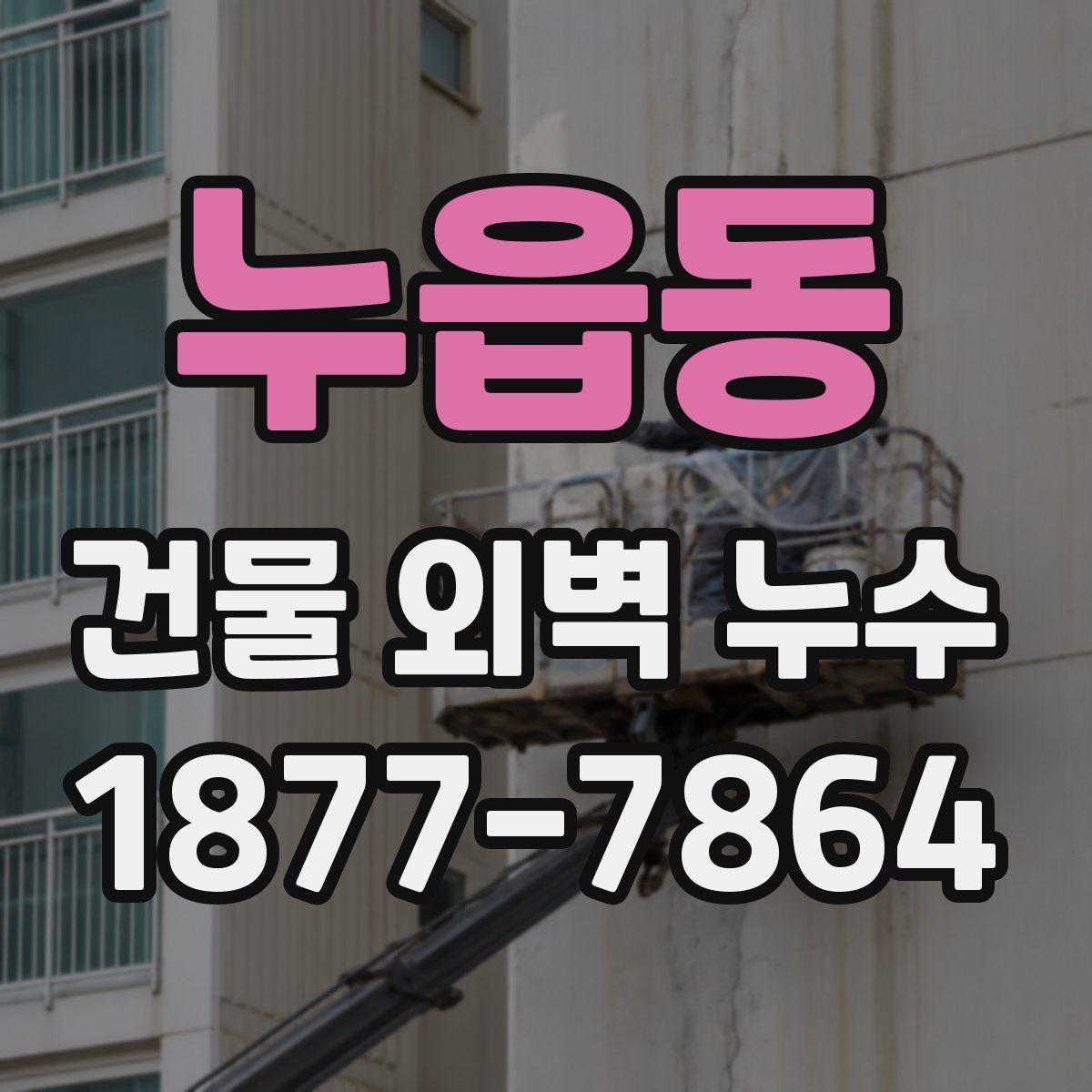 누읍동 건물 외벽 누수