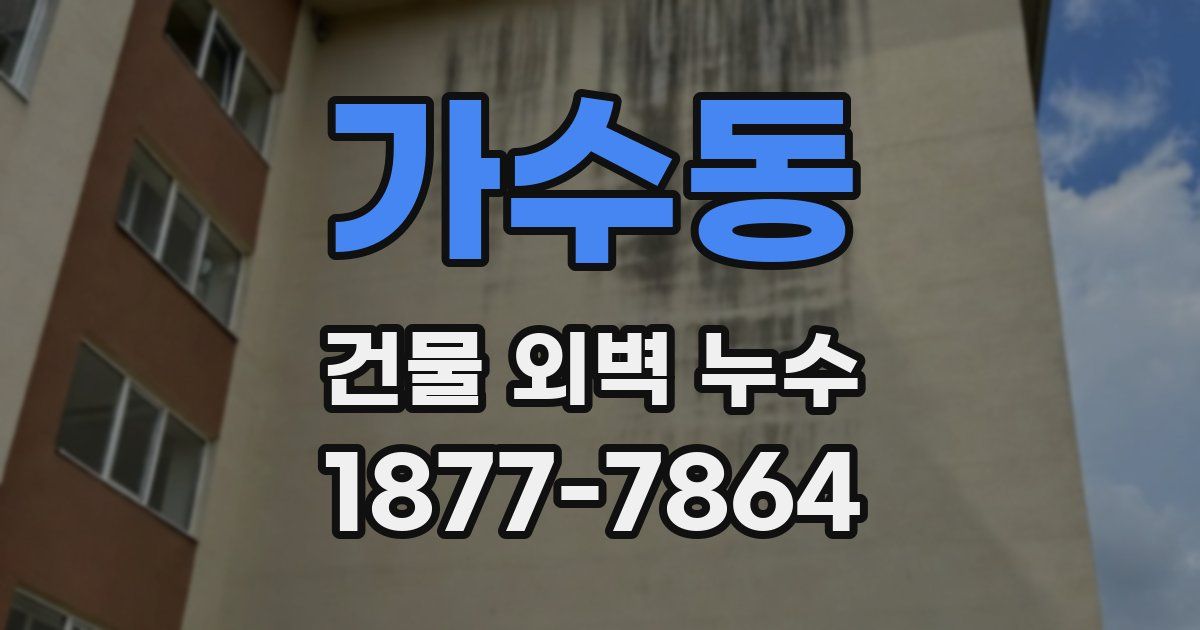 가수동 건물 외벽 누수