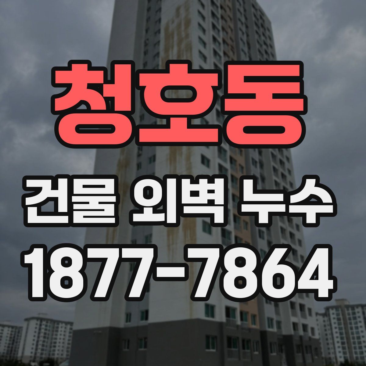 청호동 건물 외벽 누수
