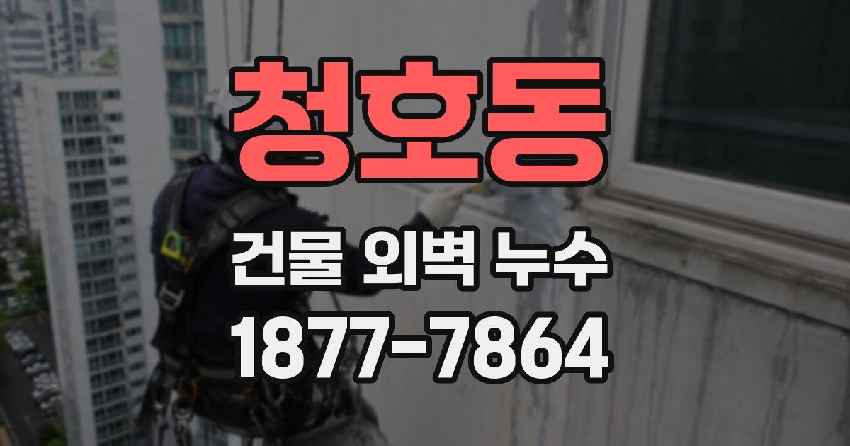 청호동 건물 외벽 누수