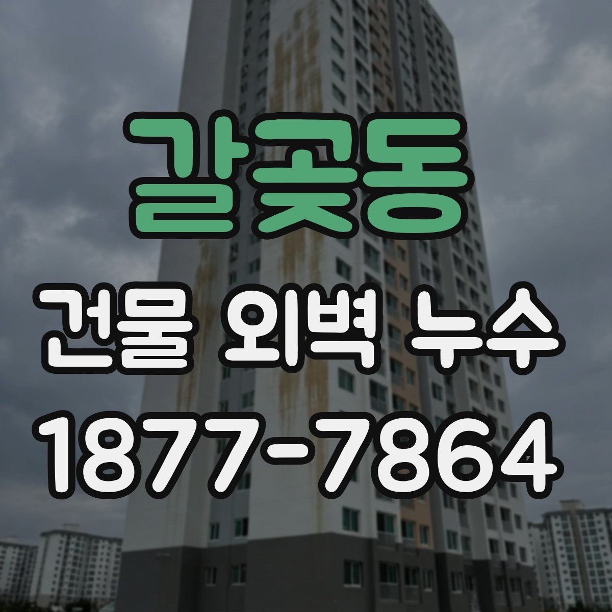 갈곶동 건물 외벽 누수