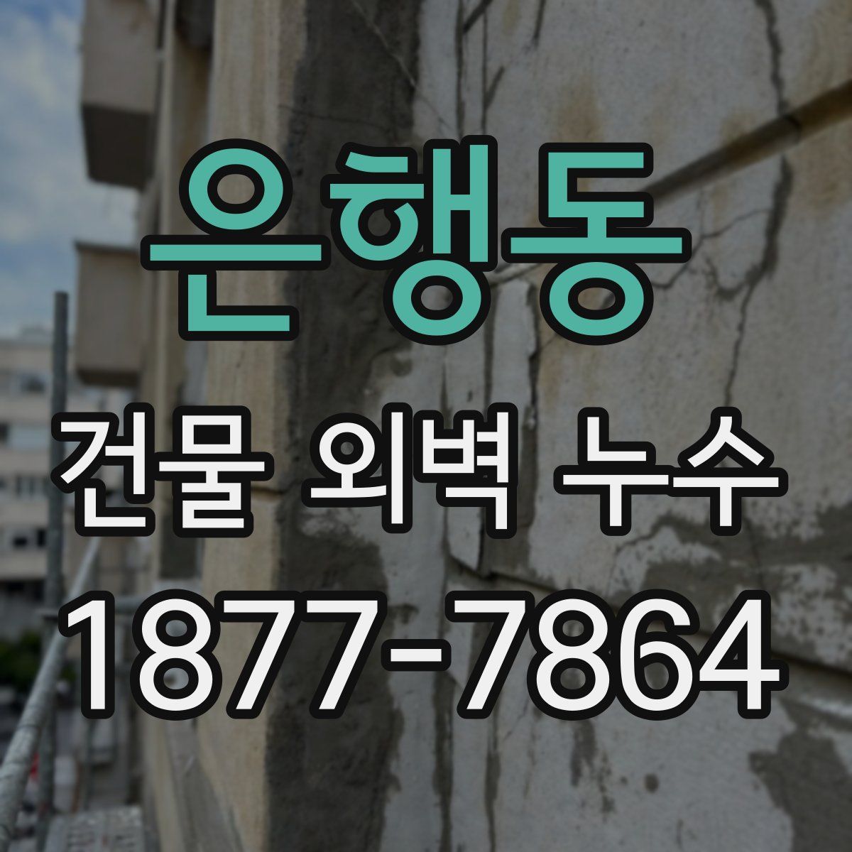은행동 건물 외벽 누수