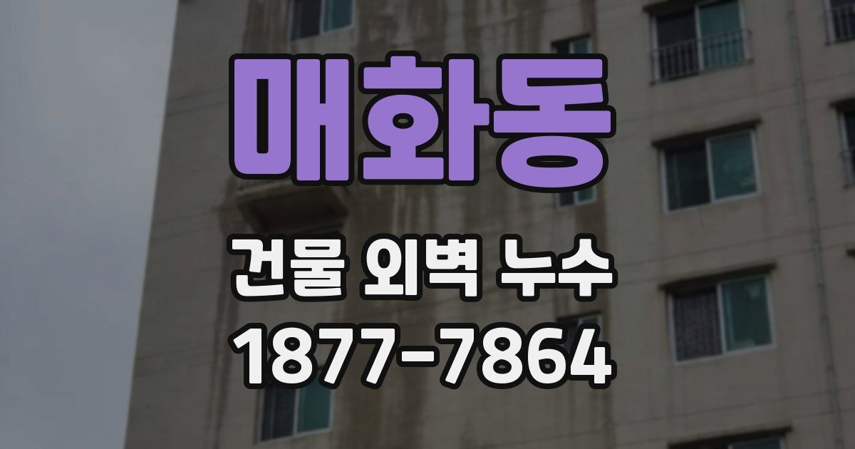 매화동 건물 외벽 누수