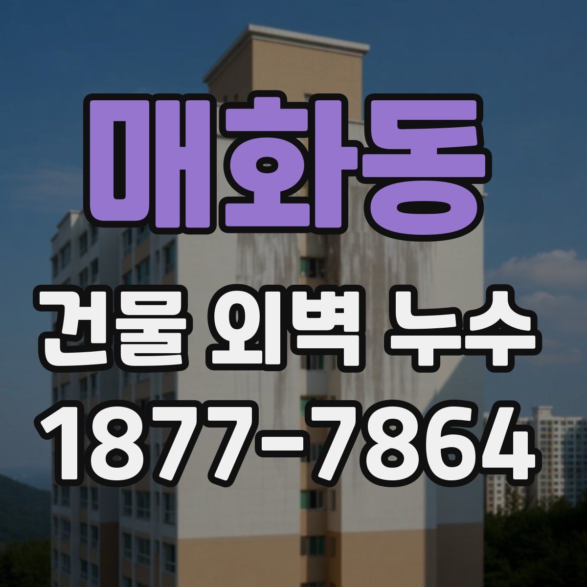 매화동 건물 외벽 누수