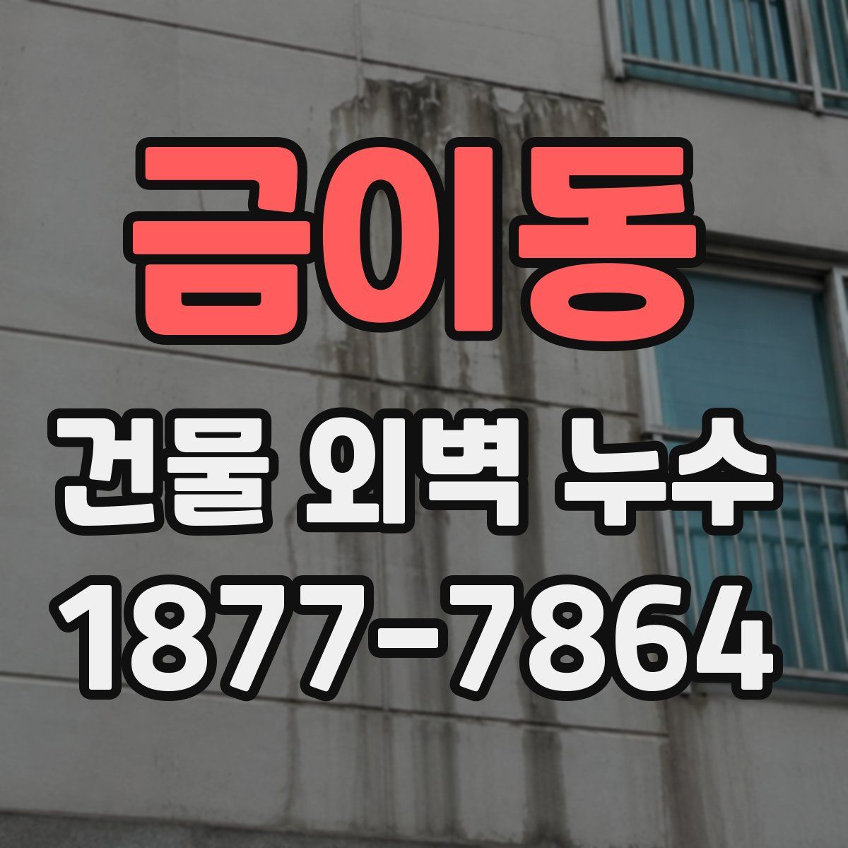 금이동 건물 외벽 누수