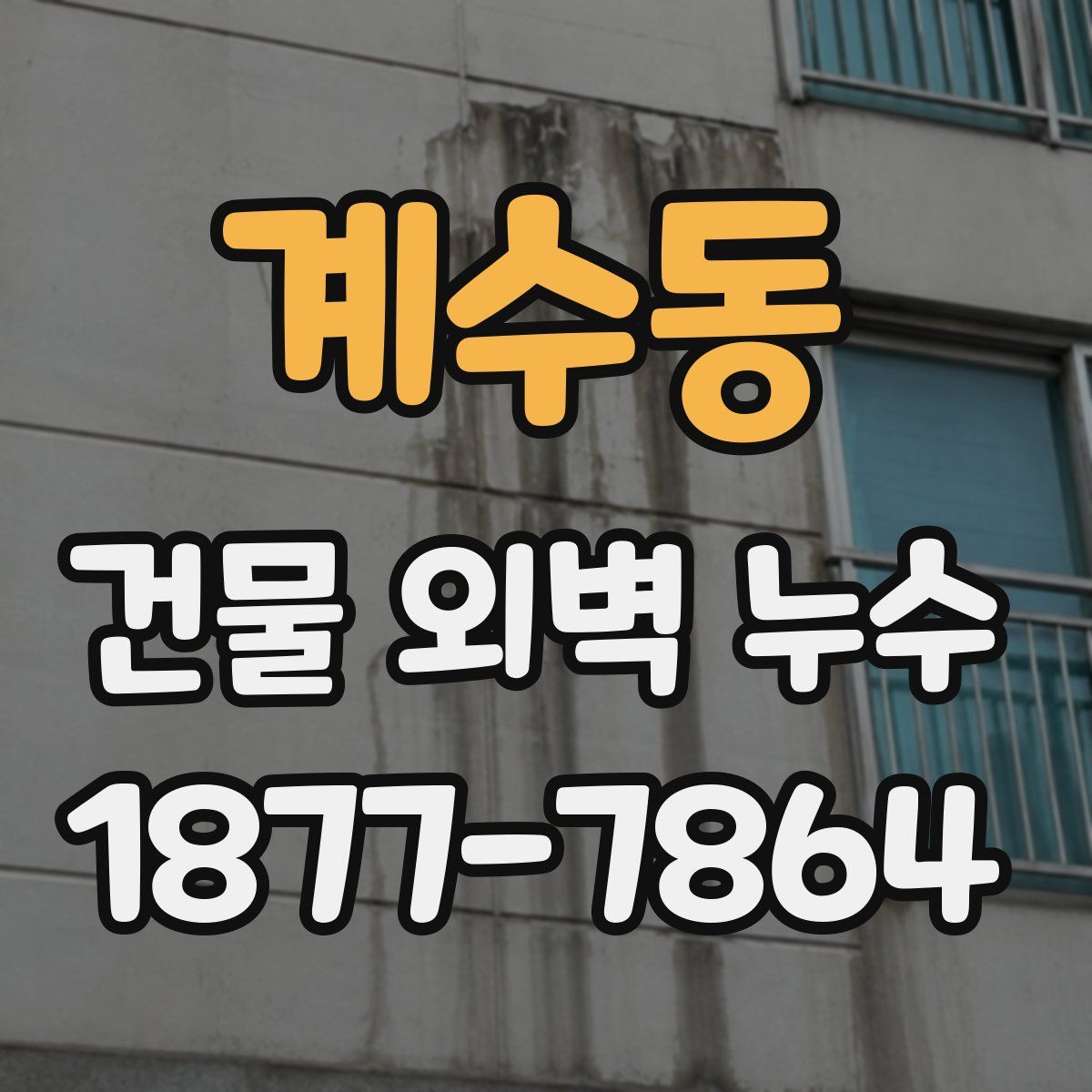계수동 건물 외벽 누수