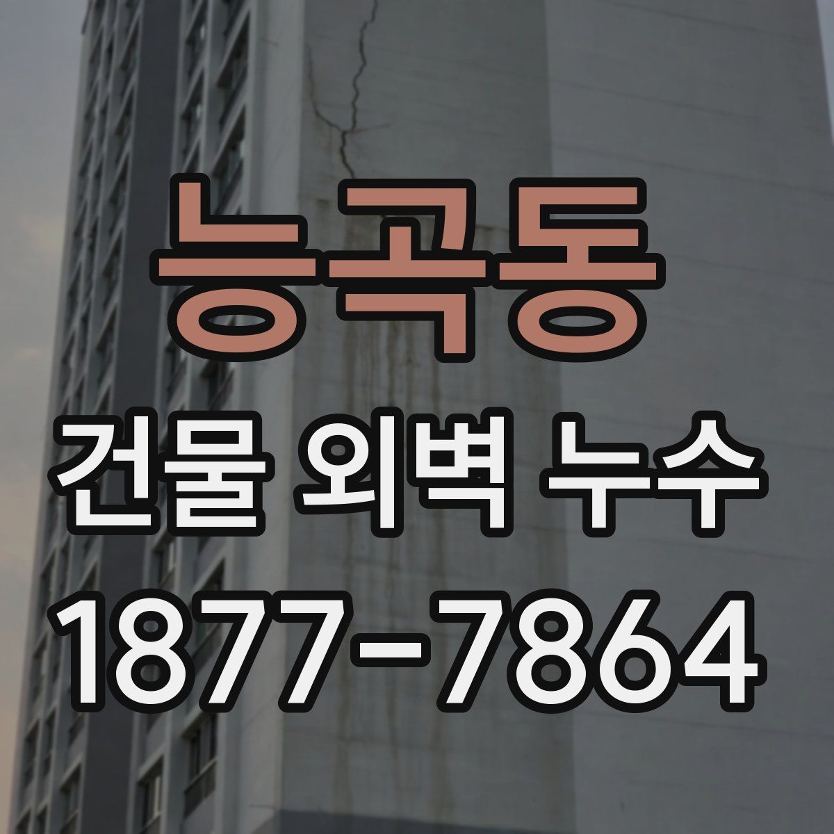 능곡동 건물 외벽 누수