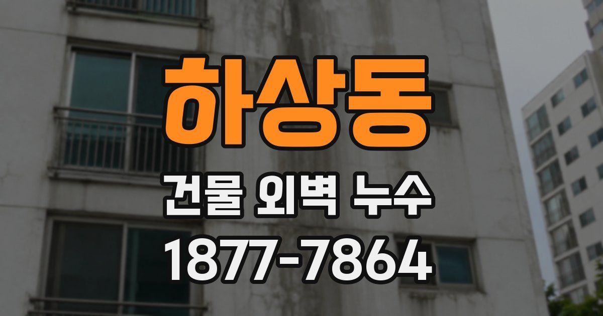하상동 건물 외벽 누수