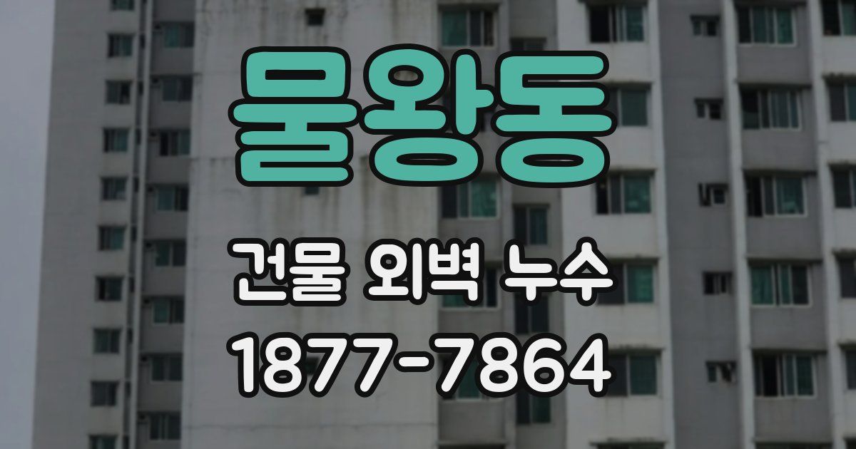 물왕동 건물 외벽 누수