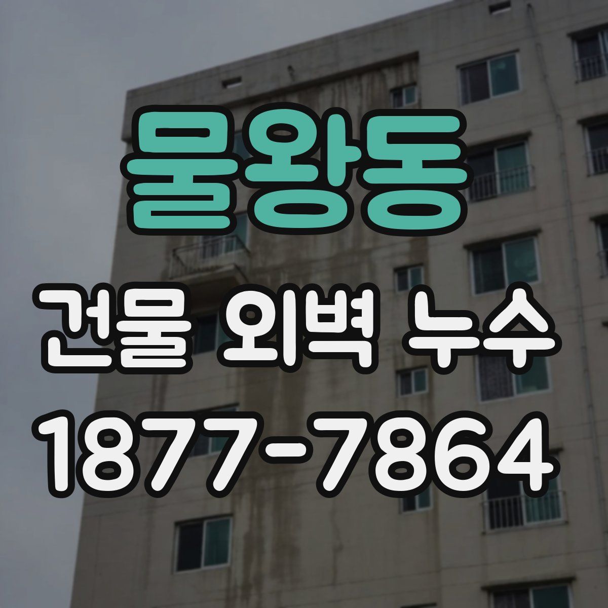 물왕동 건물 외벽 누수