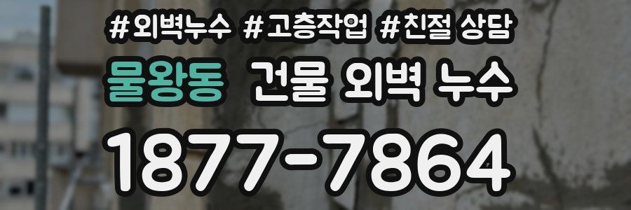 물왕동 건물 외벽 누수