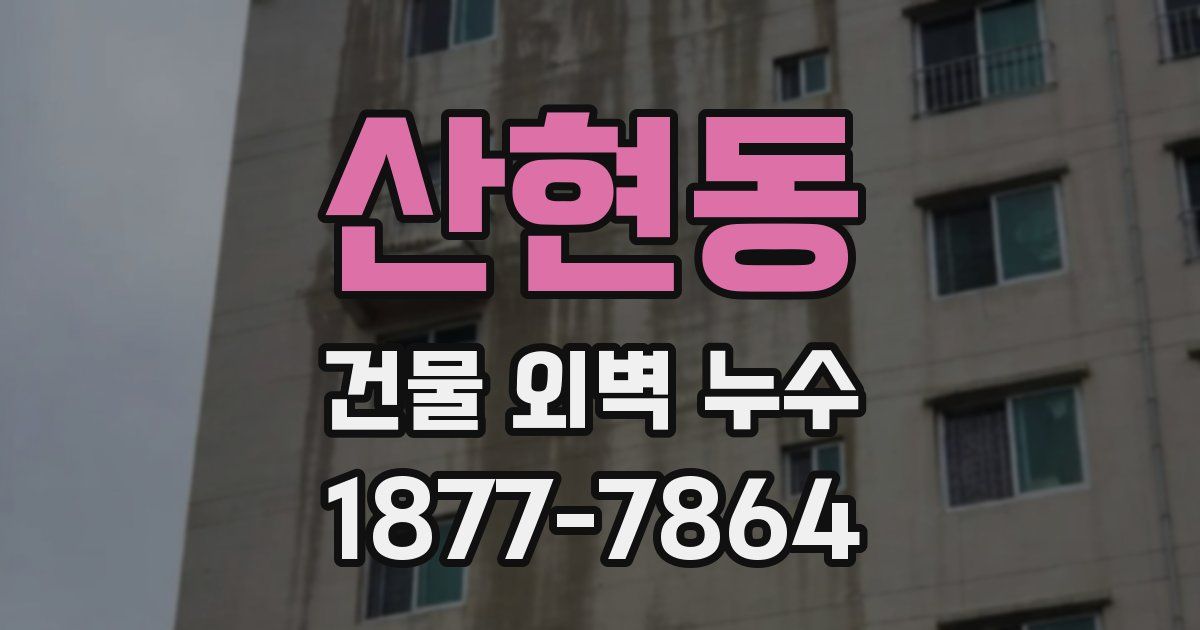 산현동 건물 외벽 누수