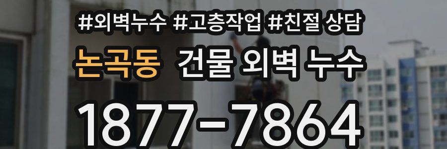 논곡동 건물 외벽 누수