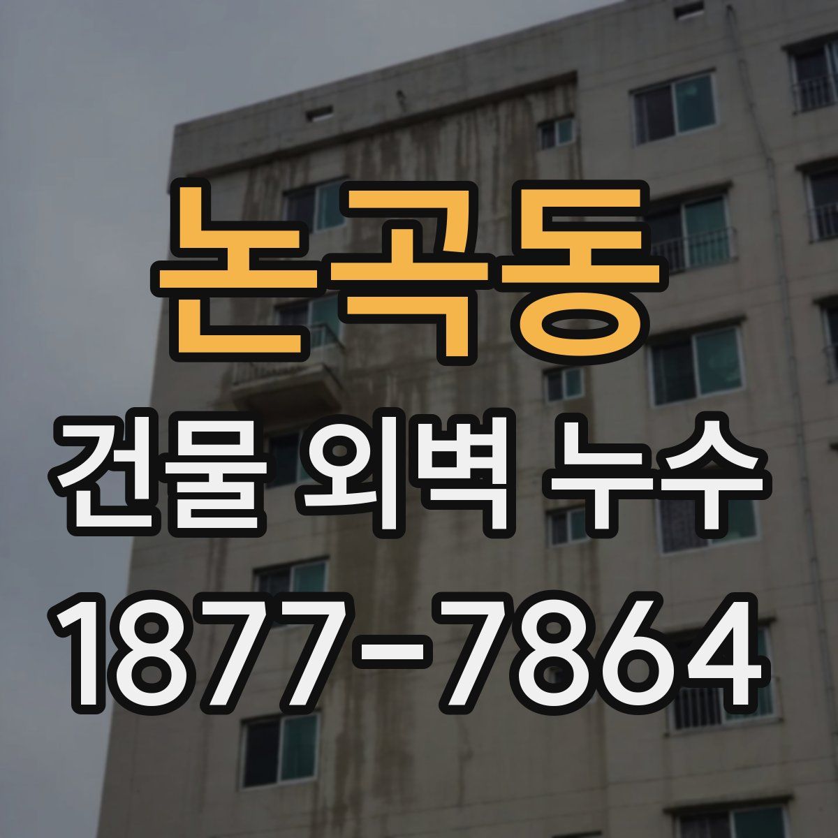 논곡동 건물 외벽 누수