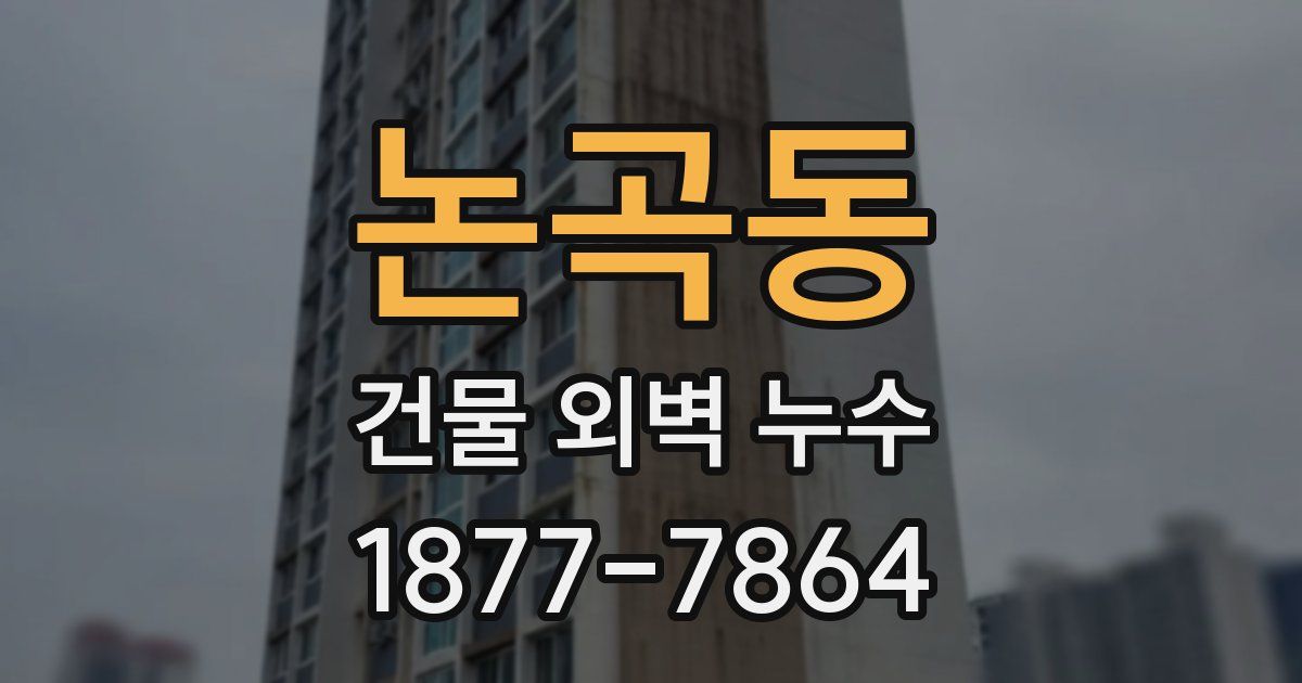 논곡동 건물 외벽 누수