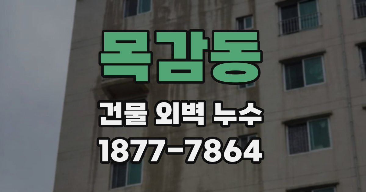 목감동 건물 외벽 누수