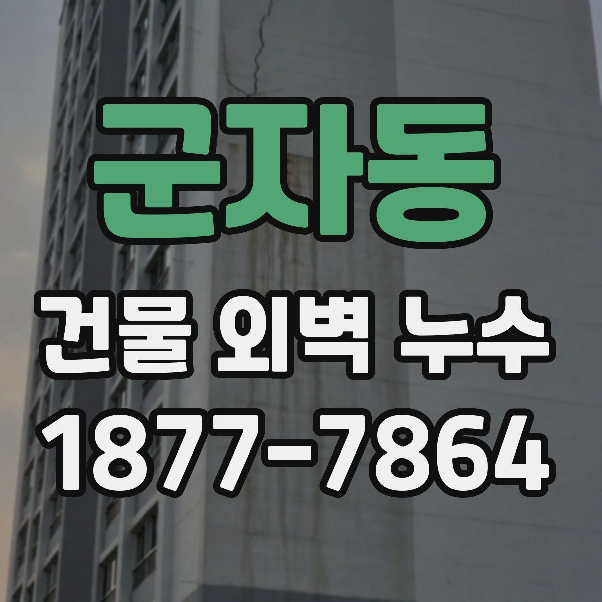 군자동 건물 외벽 누수