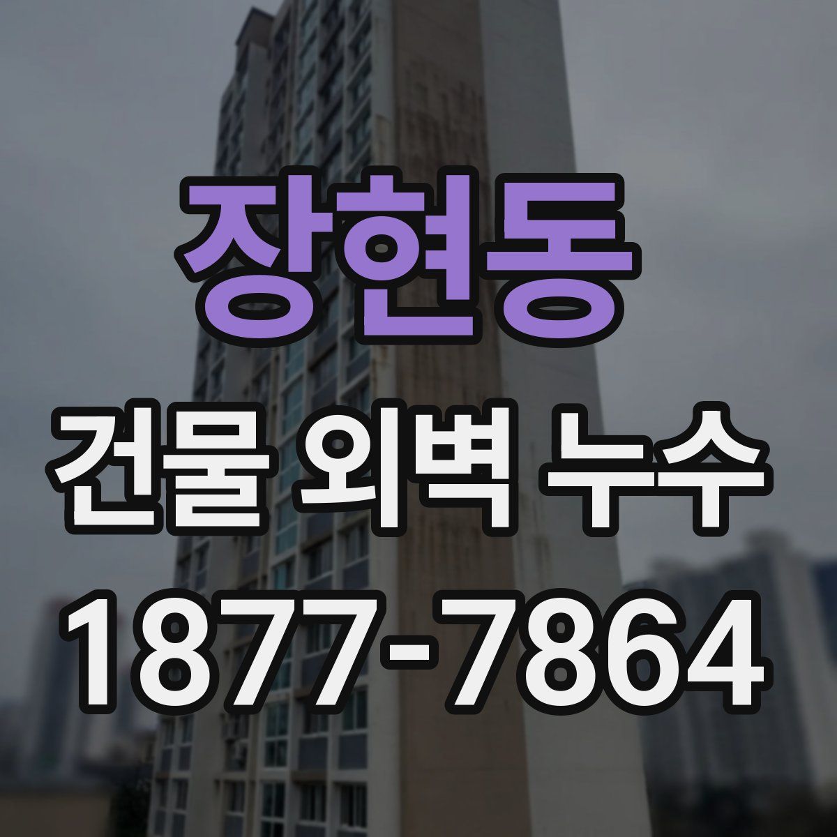 장현동 건물 외벽 누수