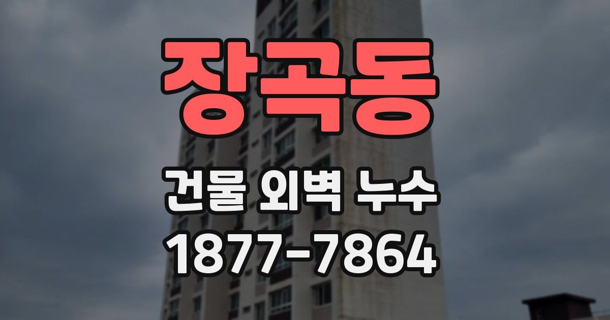 장곡동 건물 외벽 누수