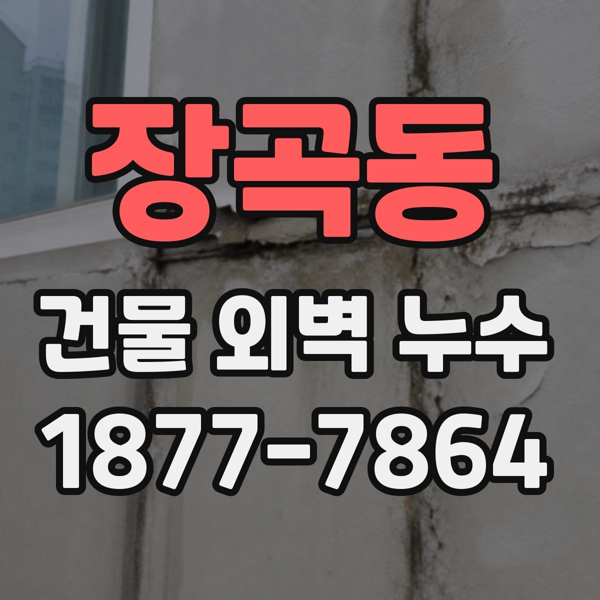장곡동 건물 외벽 누수