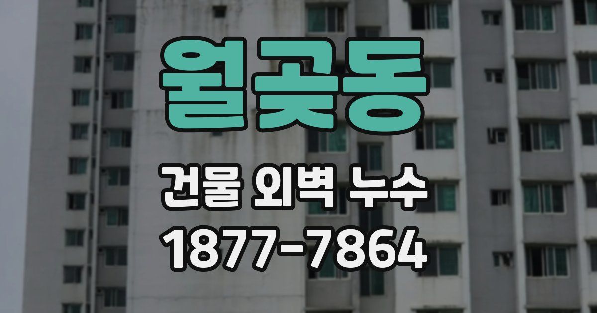 월곶동 건물 외벽 누수