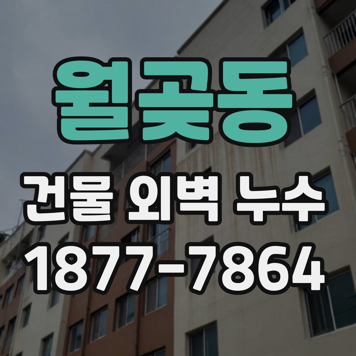 월곶동 건물 외벽 누수