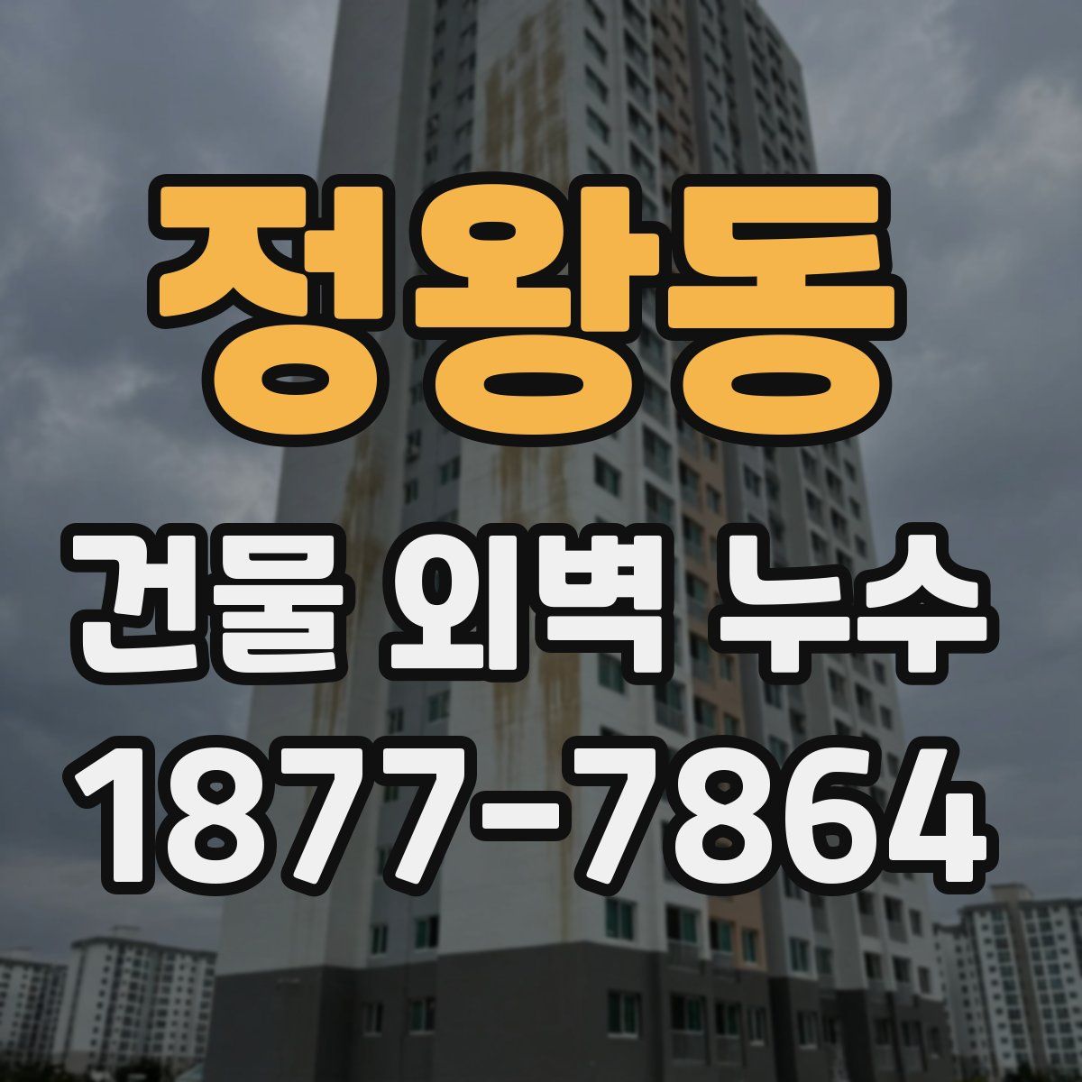 정왕동 건물 외벽 누수