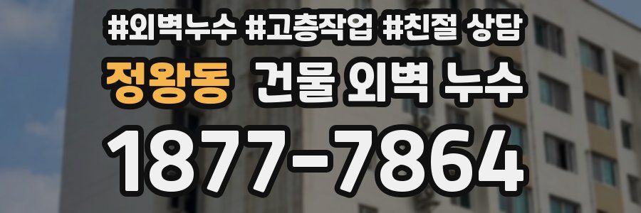 정왕동 건물 외벽 누수