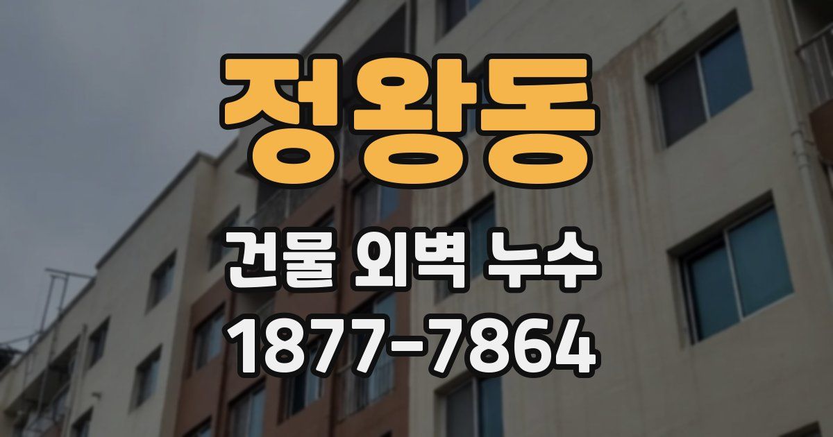 정왕동 건물 외벽 누수