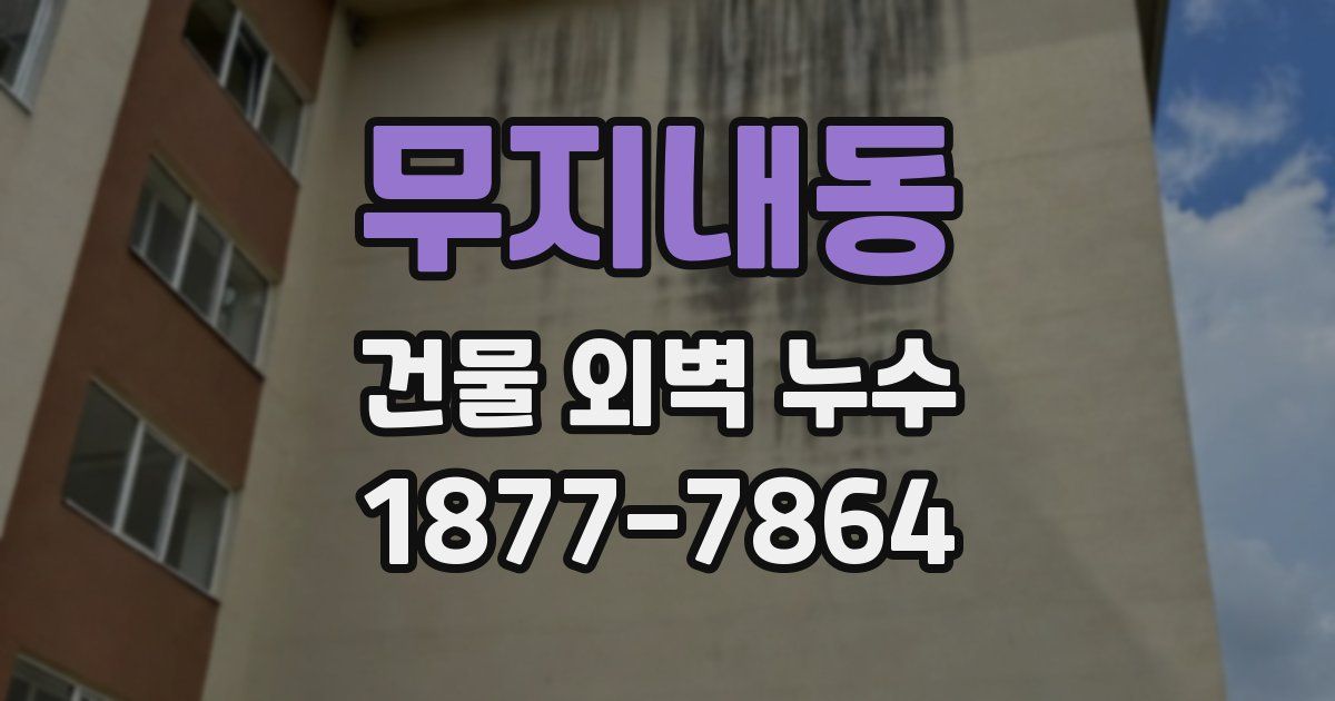 무지내동 건물 외벽 누수
