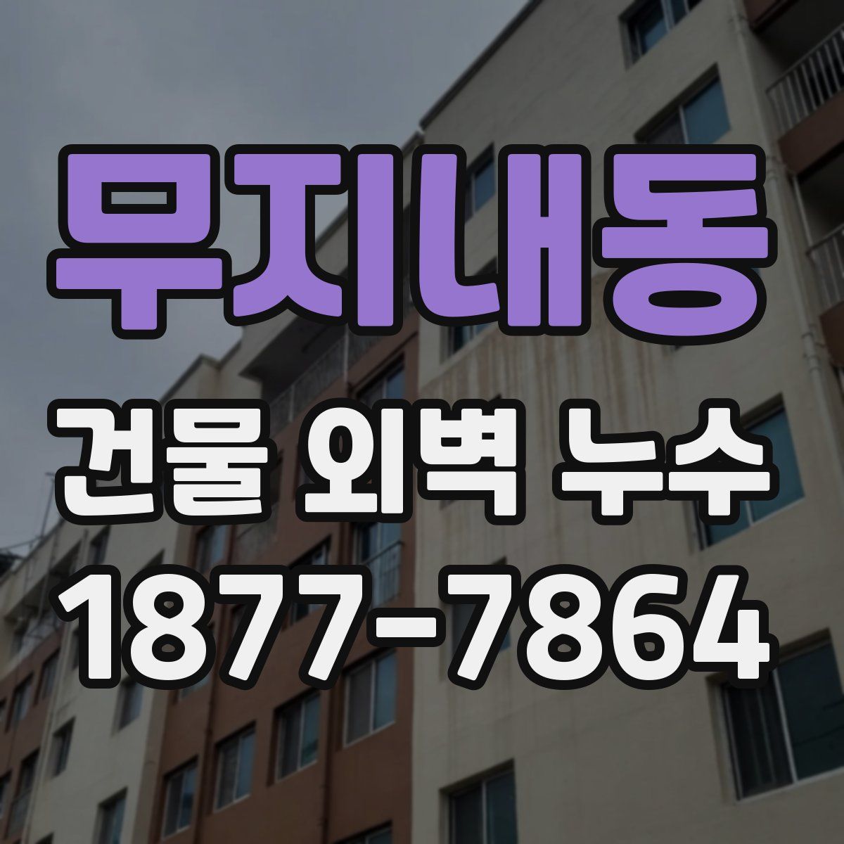 무지내동 건물 외벽 누수