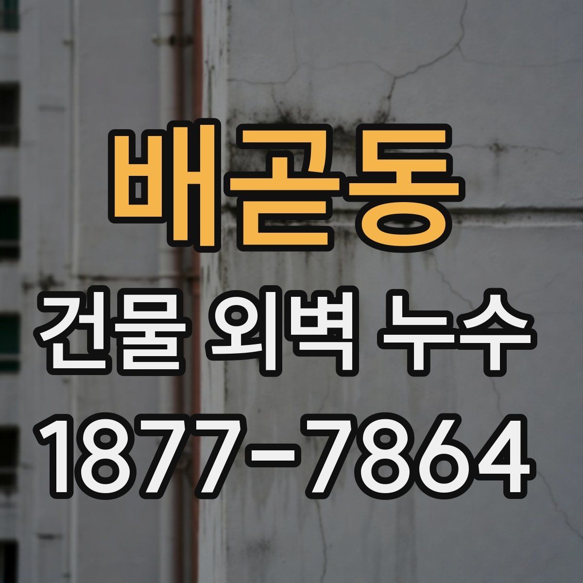 배곧동 건물 외벽 누수 외부 마감재 상태 확인하기