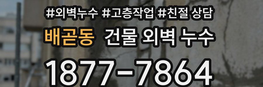 배곧동 건물 외벽 누수