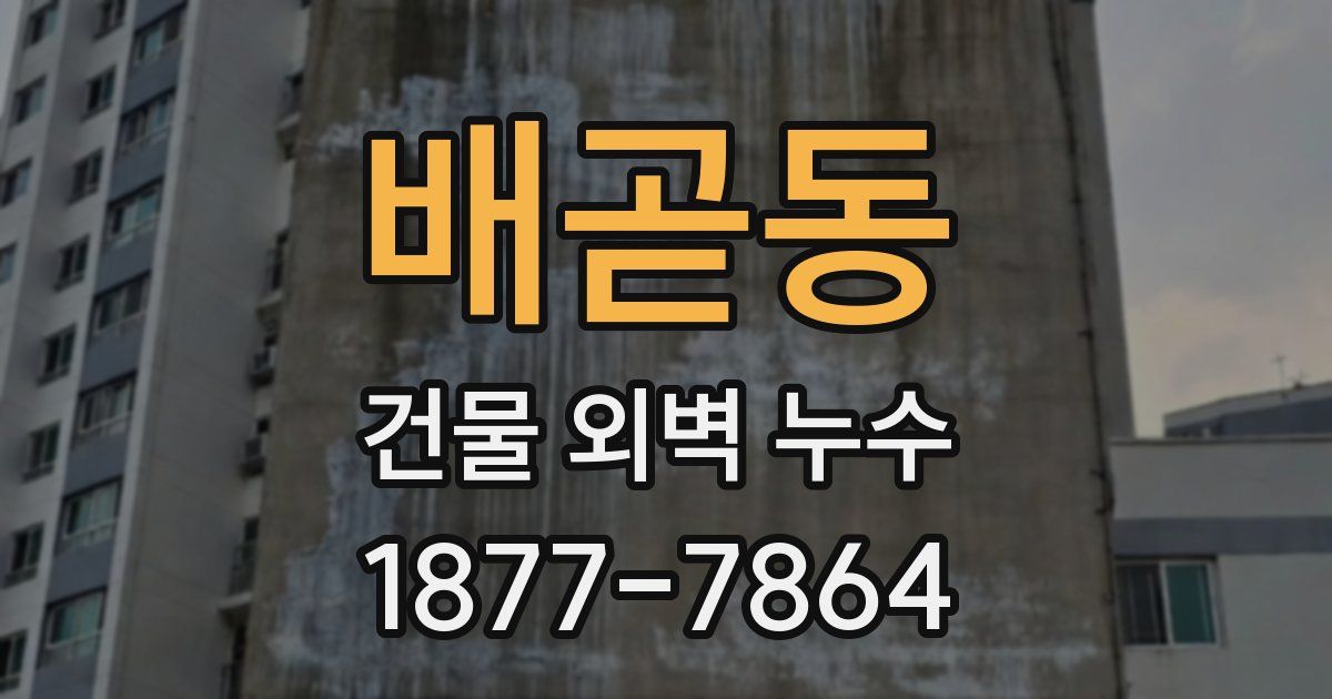 배곧동 건물 외벽 누수