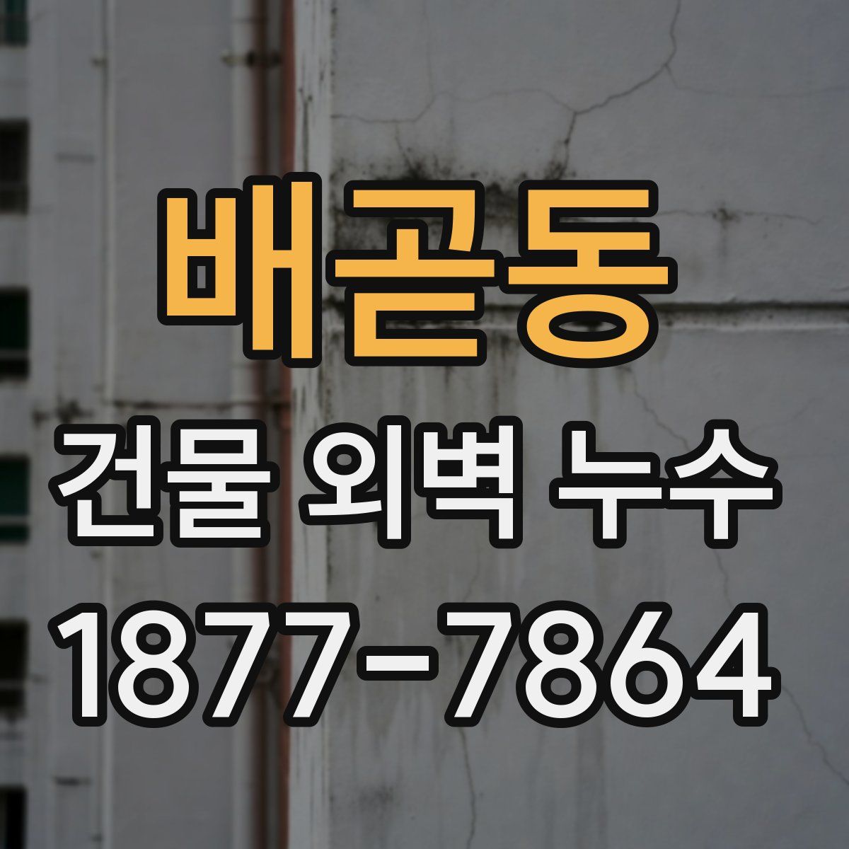 배곧동 건물 외벽 누수