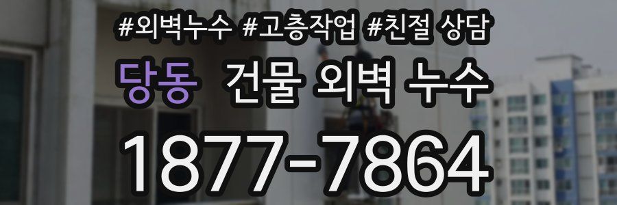 당동 건물 외벽 누수