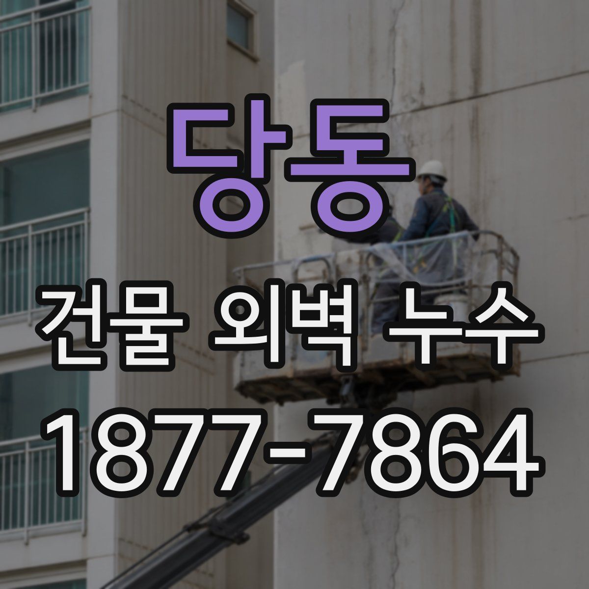당동 건물 외벽 누수