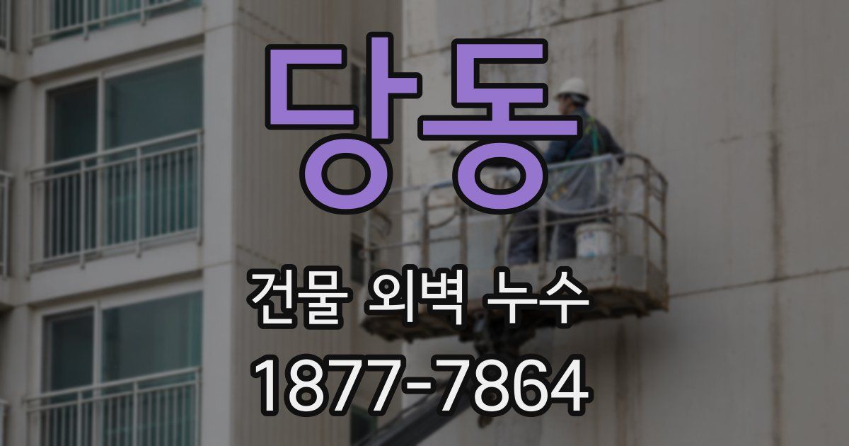 당동 건물 외벽 누수