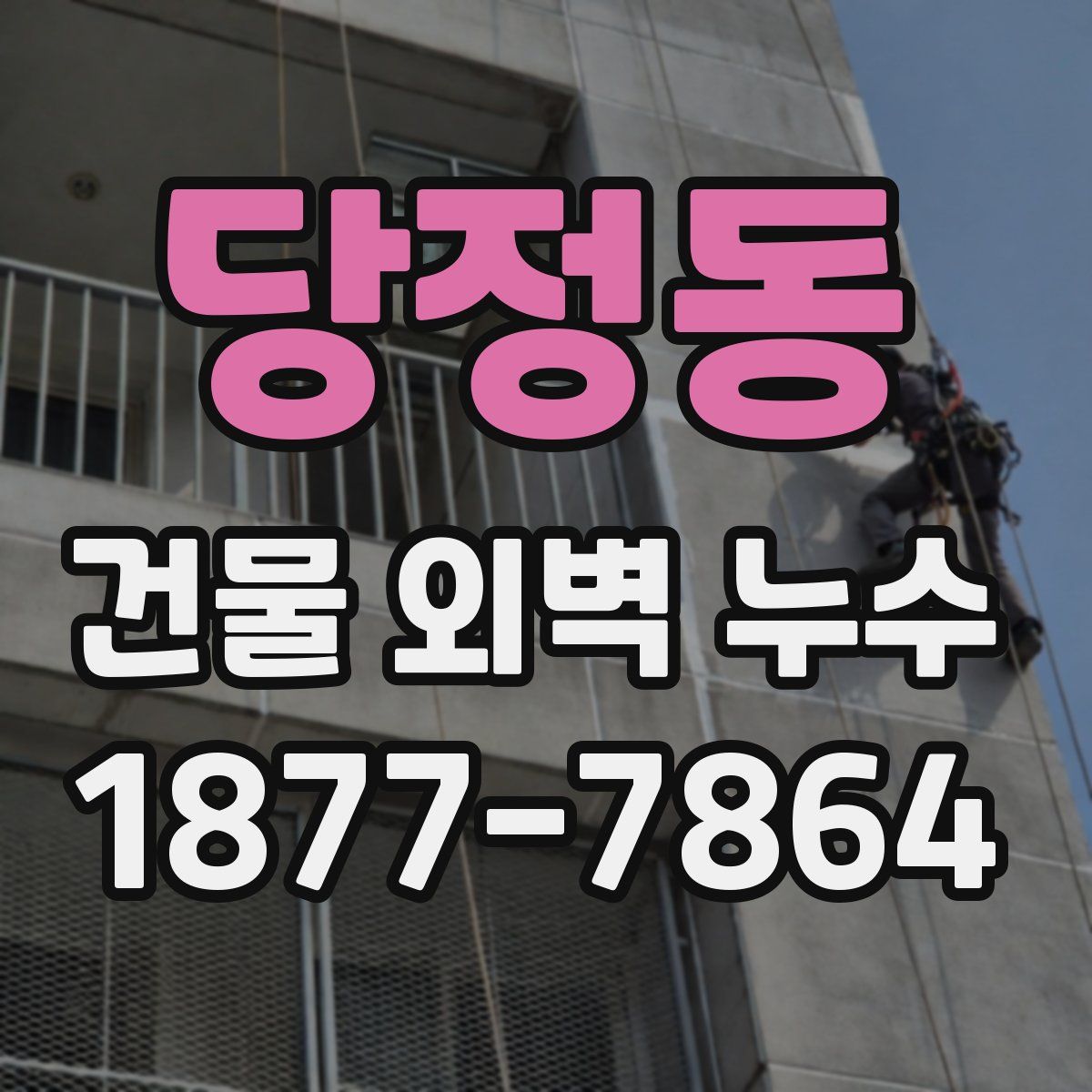 당정동 건물 외벽 누수