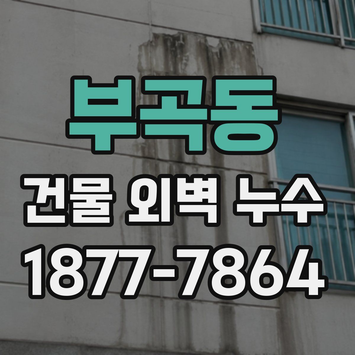 부곡동 건물 외벽 누수