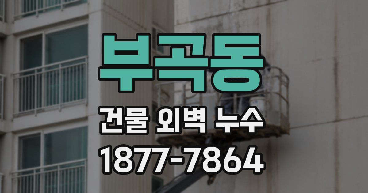 부곡동 건물 외벽 누수