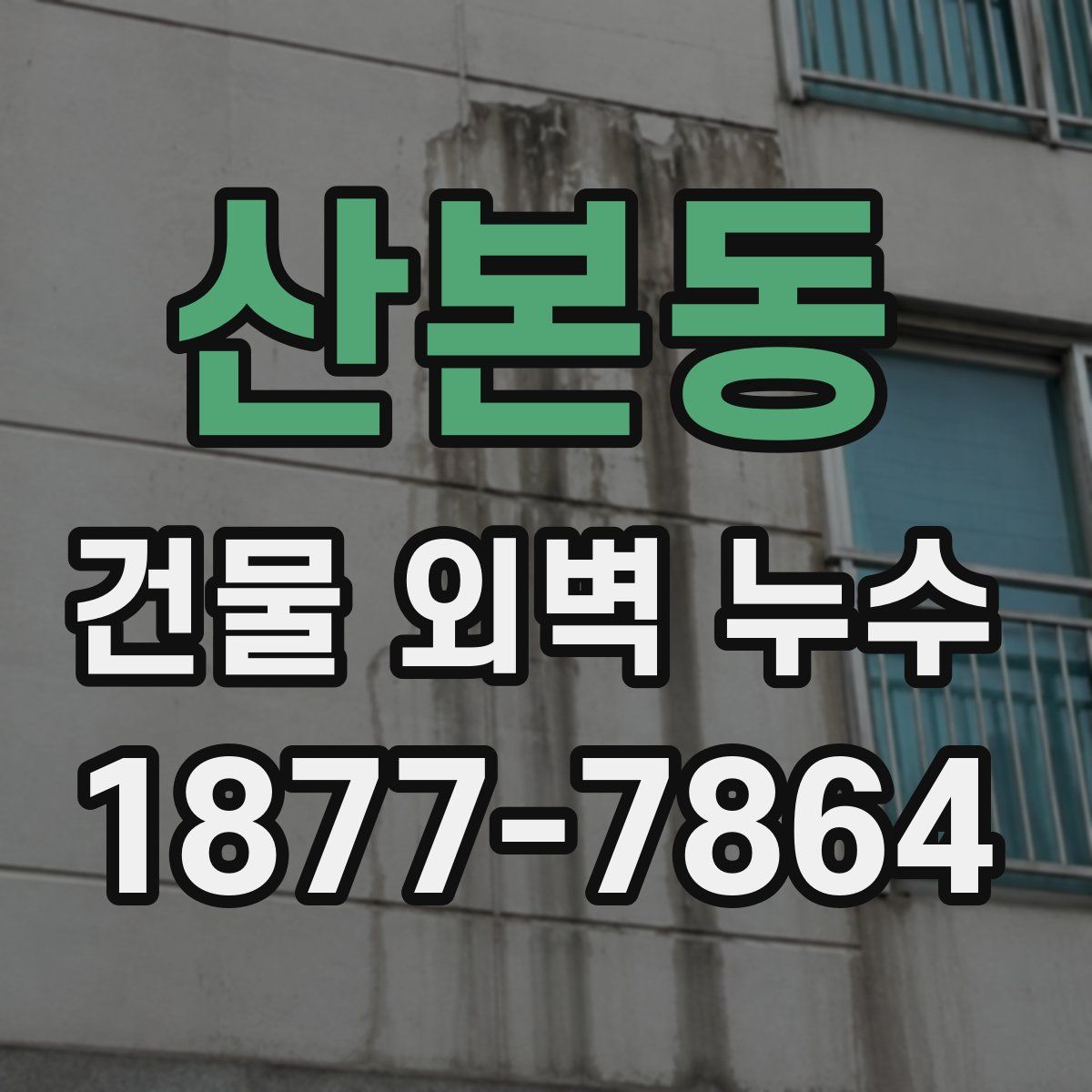산본동 건물 외벽 누수